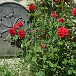Bed & Breakfast Chez Lucien 3*