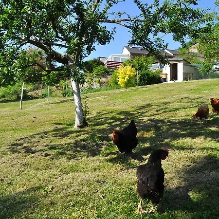 Chez Lucien Trébas