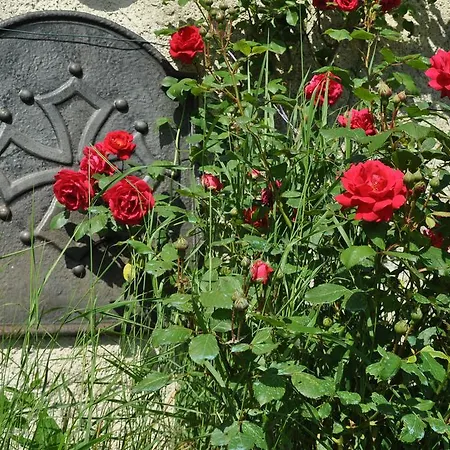 Bed & Breakfast Chez Lucien 3*