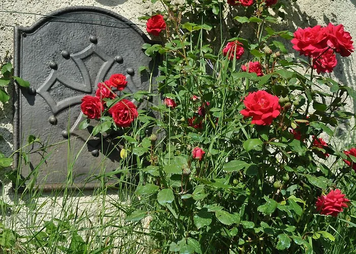 Frühstückspension Chez Lucien 3*